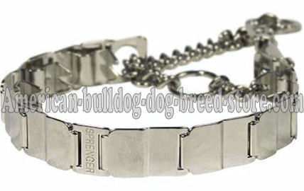 HS Stainless Steel Neck Tech Pinch Collar 24