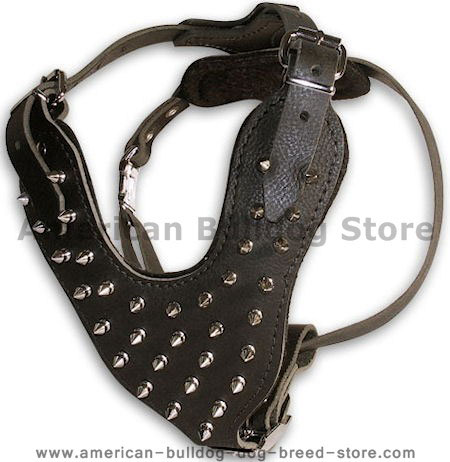 Big Spiked leather dog harness for American Bulldog