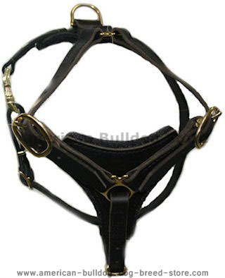 padded leather dog harness for walking,tracking,training..