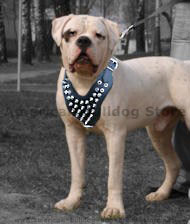nylon dog harness
