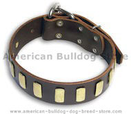 American Bulldog Best Brown collar 23'' /23 inch dog collar American Bulldog Best Brown collar 23'' /23 inch dog collar
