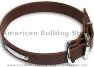 Am.Bulldog Standard Brown collar 21'' /21 inch dog collar Am.Bulldog Standard Brown collar 21'' /21 inch dog collar