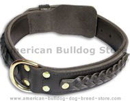 Beautiful Bulldog Black dog collar 18 inch/18'' collar -C55s33 Beautiful Bulldog Black dog collar 18 inch/18'' collar -C55s33