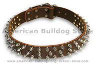 Am.Bulldog Spiked Brown collar 22'' /22 inch dog collar Am.Bulldog Spiked Brown collar 22'' /22 inch dog collar