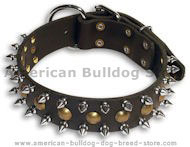 Am.Bulldog Studded&Spikes Black collar 23'' /23 inch dog collar Am.Bulldog Studded&Spikes Black collar 23'' /23 inch dog collar