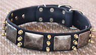 Best Custom Dog Leather Dog Collar-massive plates+brass3 spikes Best Custom Dog Leather Dog Collar-massive plates+brass3 spikes