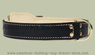 Black Patent Leather dog collar for American Bulldog
