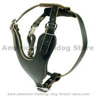 Heavy Duty Dog Harness for American Bulldog