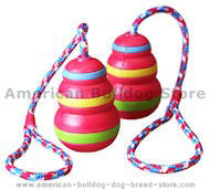 Kong Sport Dog Training Toys - American Bulldog Dog Toy Training