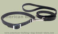 Leather Patent Dog Leash collar for American Bulldog