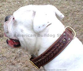 leather dog collar