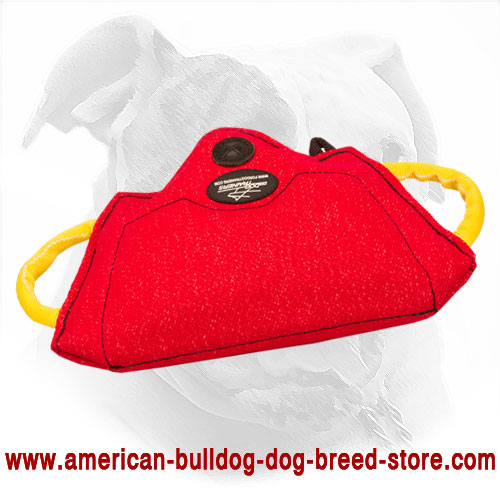 American Bulldog Bite Builder for Puppy and Young Dog