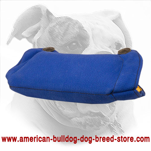 French Linen American Bulldog Bite Builder