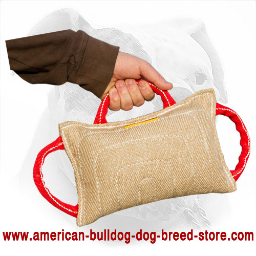 Jute American Bulldog Bite Pillow