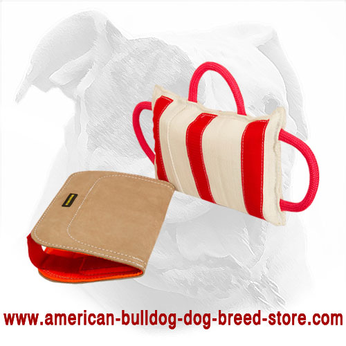  American Bulldog Bite Pillow for Dog Training