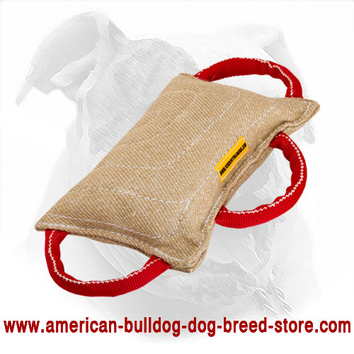American Bulldog Bite Pillow