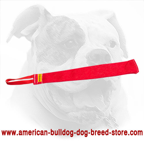 Training American Bulldog Bite Rag