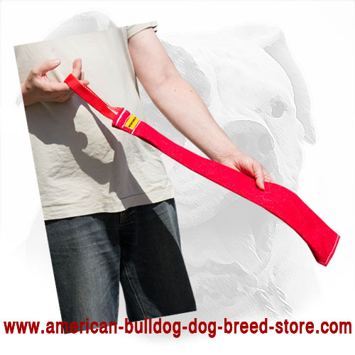 Dog Bite Rag for American Bulldog