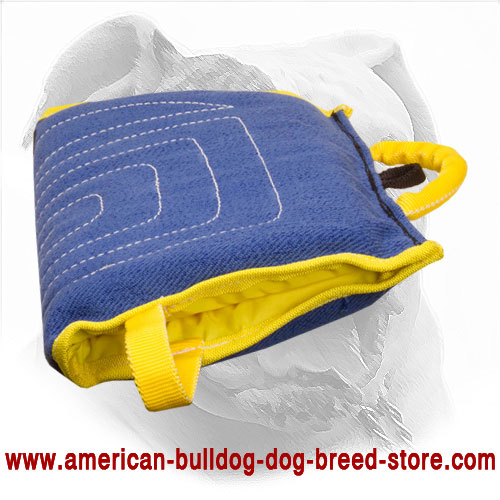 Training American Bulldog Bite Sleeve 
