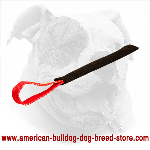 French Linen American Bulldog Bite Tug 