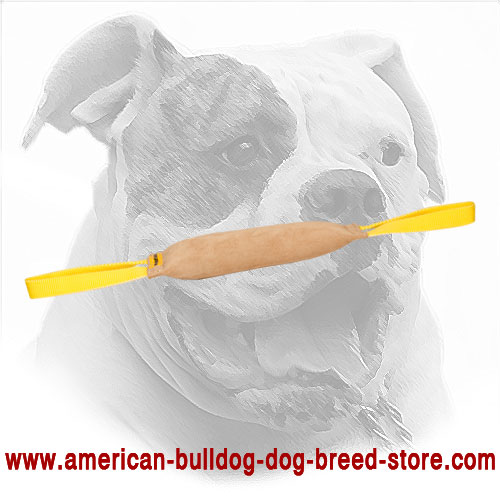  Leather Dog Bite Tug for American Bulldog 