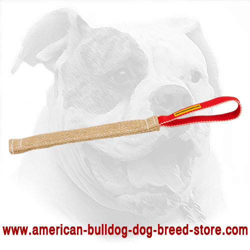 Jute American Bulldog Puppy Bite Tug