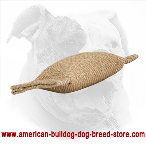  American Bulldog Puppy Bite Tug