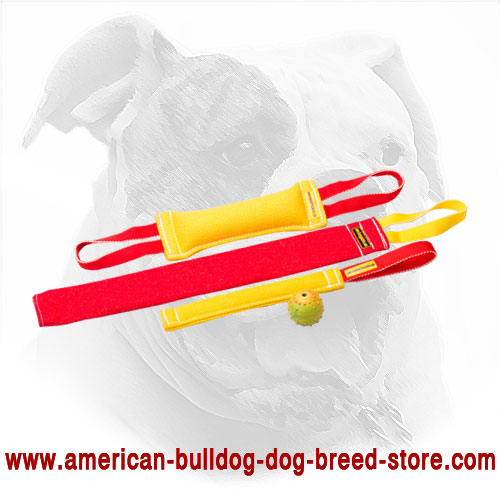 American Bulldog Puppy Set of Bite Tugs