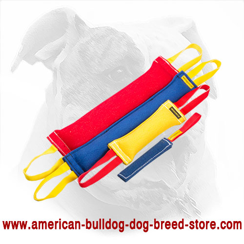 Set of Bite Tugs for American Bulldog