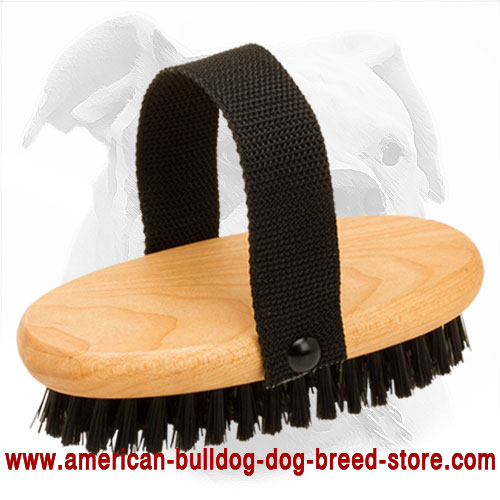 Dog Bristle Brush for American Bulldog