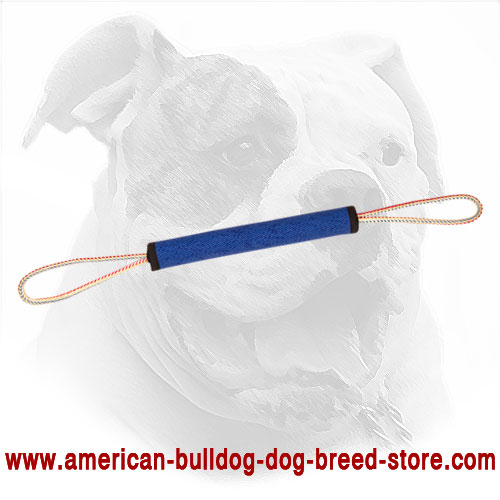 French Linen American Bulldog Play Roll