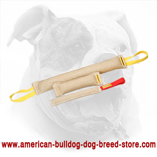  American Bulldog Bite Tugs