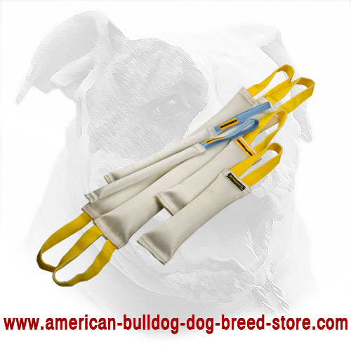 Fire Hose Dog Bite Tugs for American Bulldog