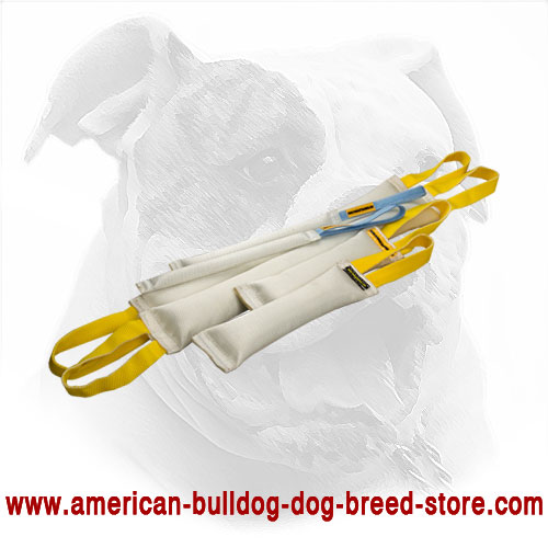 American Bulldog Set of Bite Tugs