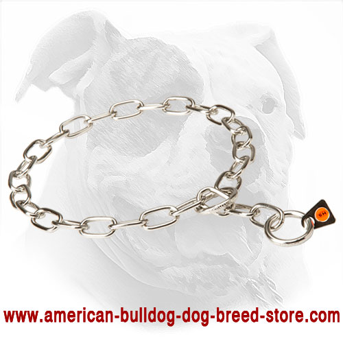 Metal American Bulldog Collar