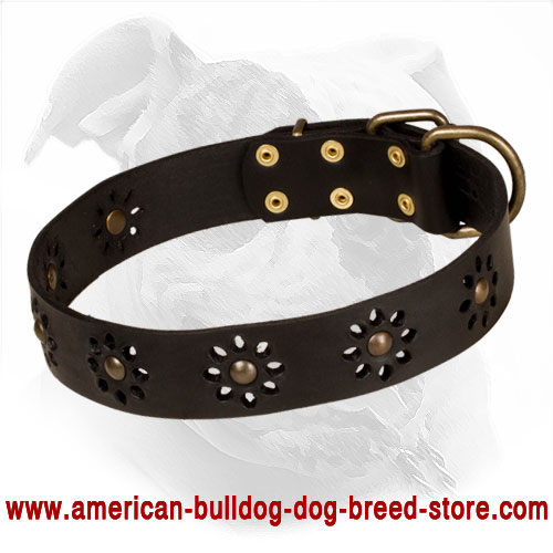  Punched Leather American Bulldog Collar