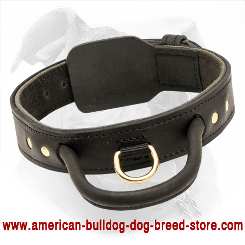 Stitched Leather American Bulldog Collar