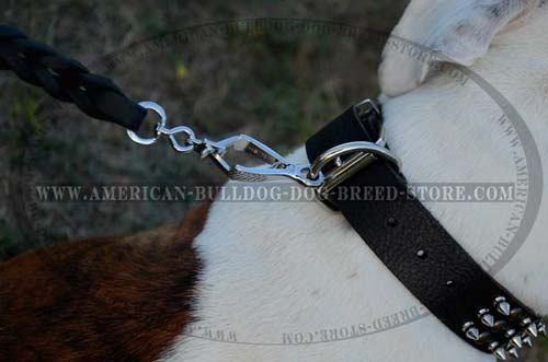American Bulldog Leather Collar with Simple for Leash Attachment Function