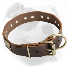 Training and Walking Leather Collar for American Bulldog