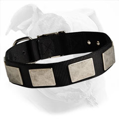 Due to exceptional quality, this nylon collar will serve your Bulldog for years