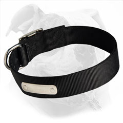 Reliable and strong canine collar perfect for use in any weather