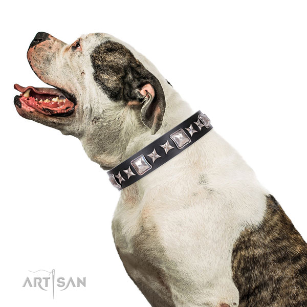 American Bulldog handmade natural genuine leather dog collar for handy use