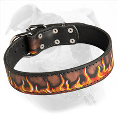 Easy to Fit Leather Collar for American Bulldog