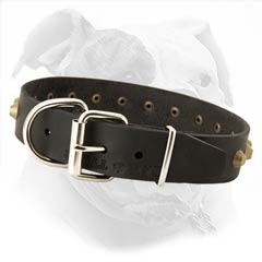 American Bulldog Leather Collar of High Quality 