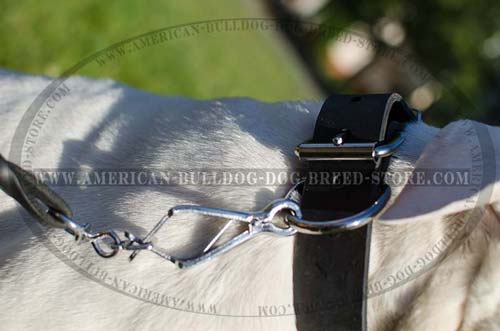 Fashion Leather Dog Collar with Strong Buckle