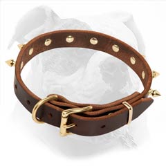 Spiked Brown Leather Collar for Fashion Walking