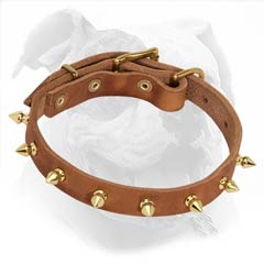 American Bulldog Tan Leather Collar with Brass Spikes