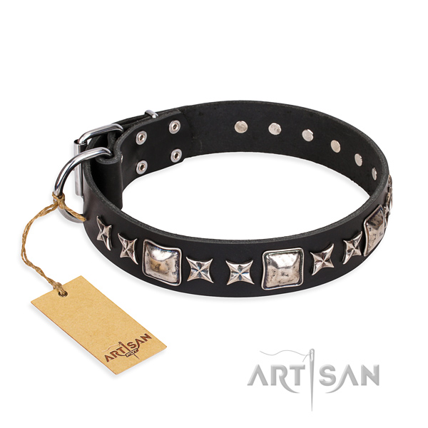 Unique full grain natural leather dog collar for stylish walking