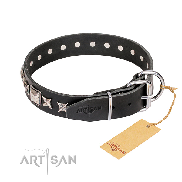 Everyday walking full grain leather collar with adornments for your dog