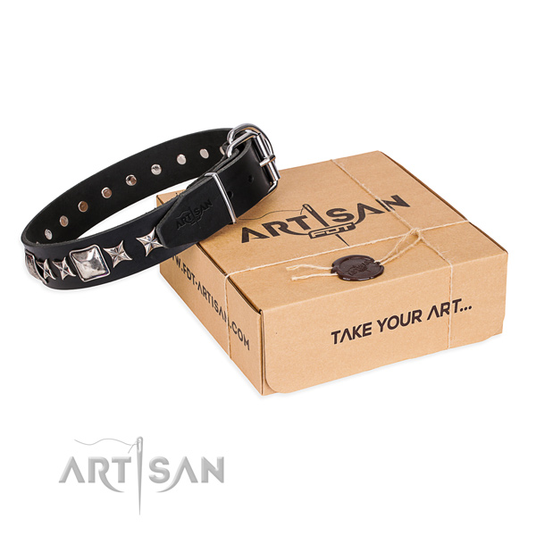 Adorned full grain leather dog collar for daily walking